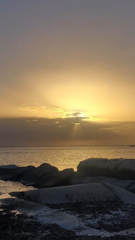 Jackieyz modelo caliente galerías