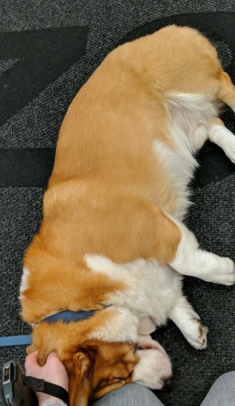 sincerelysarahtrickler modelo mejor imágenes