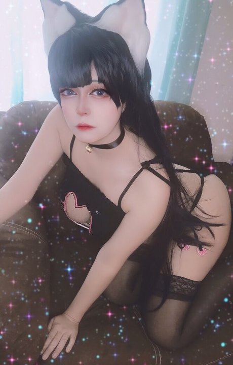 Shiinukicos estrella superior galería