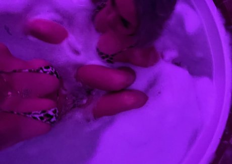 missoverdrip estrella porno de alta calidad fotos