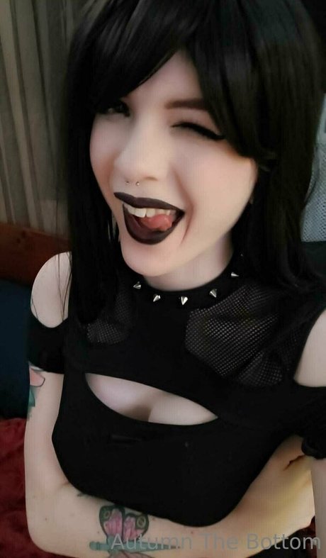 awwtumdabottom mejor estrella galerías