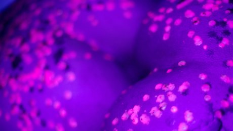 ihavapiness mejor actriz foto