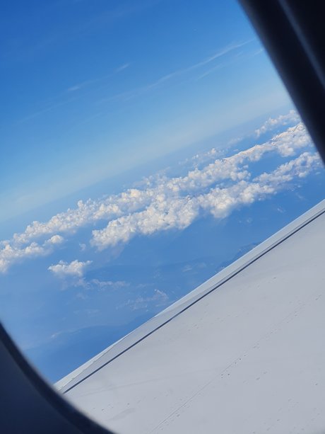 pLaNkTuS estrella exclusiva imagen