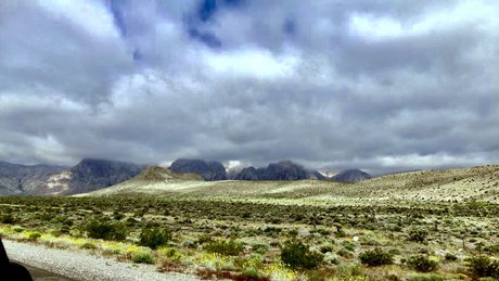 eBlood SiSK estrella sexy galería