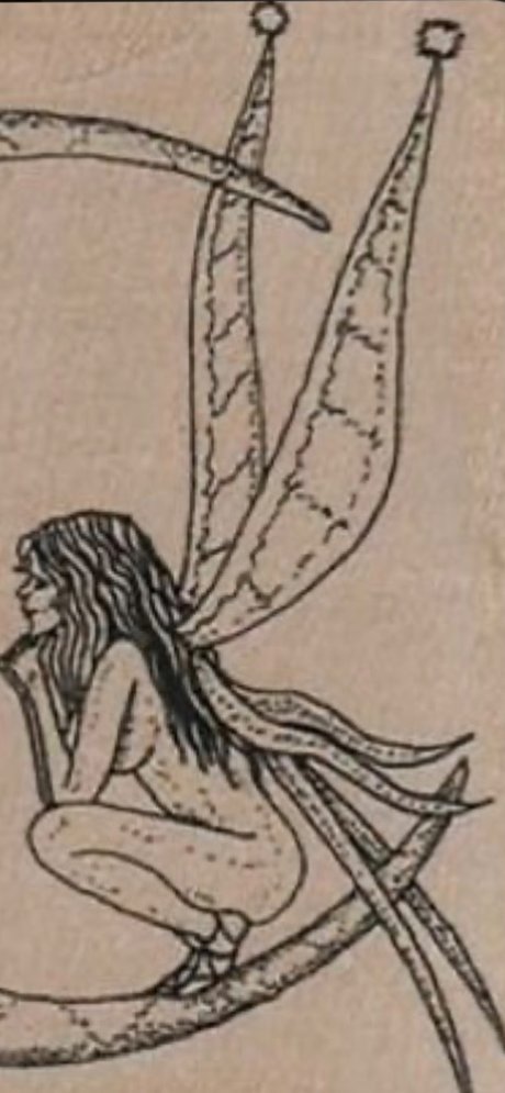 Erin Beckel estrella exclusiva recopilación