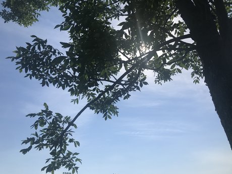 kevy xxx estrella porno galería