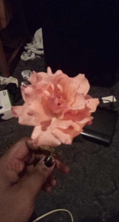 Darius Blue modelo de alta calidad imagen