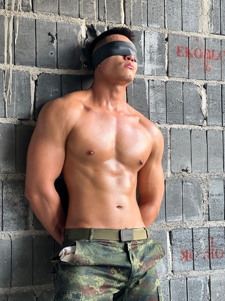 T guy libre de estrellas recopilación