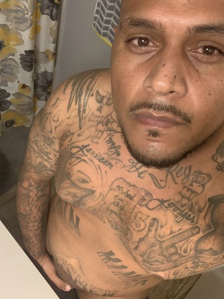 Your Papi modelo adulto galería