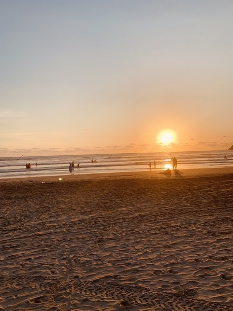 PamegaMex1 modelo gratis archivo