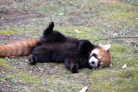 worthlessholes actriz adulta imagen