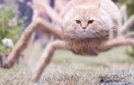 14k sexo modelo galerías