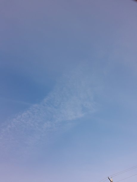 David Wilson modelo sexual recopilación