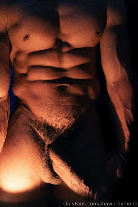 TheShawnRaymond estrella libre galerías