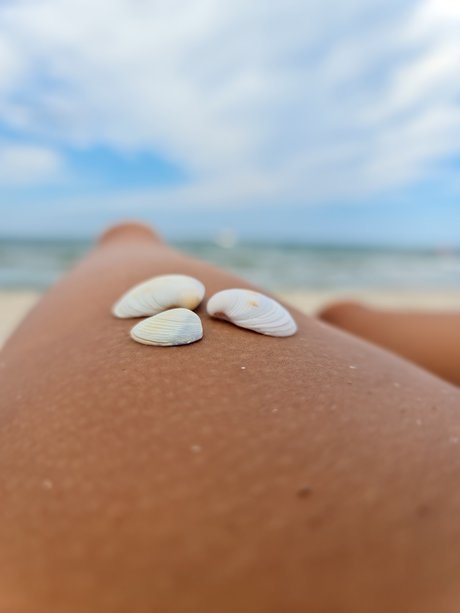 Shrek buena estrella porno foto