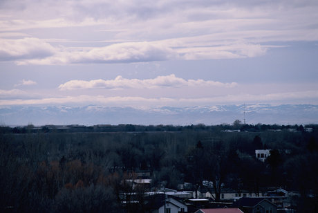 Skyelar estrella atractiva imagen