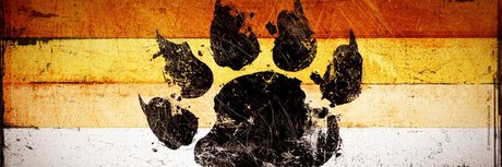 icanseequeerly estrella del sexo foto