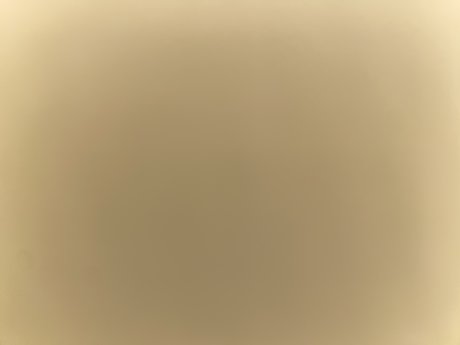 princessst modelo bonita imagen