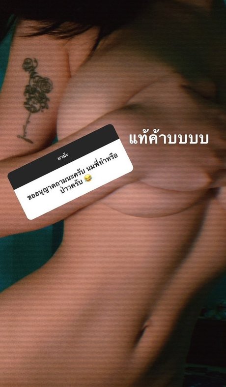 nuninal 22 arte modelo recopilación