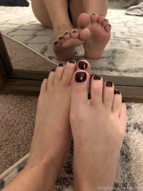 Lilasoles estrella de alta calidad fotos