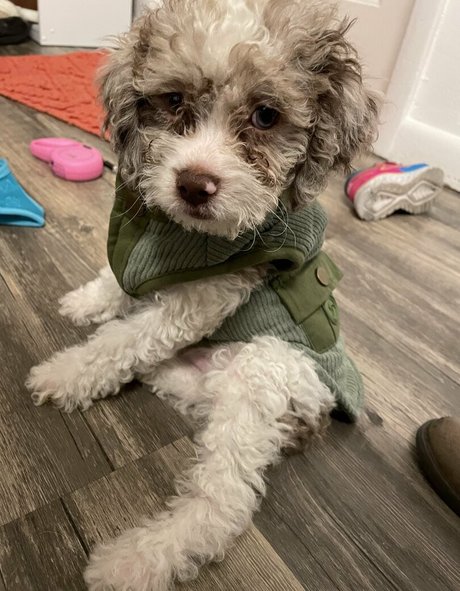 im over covid actriz de arte galerías