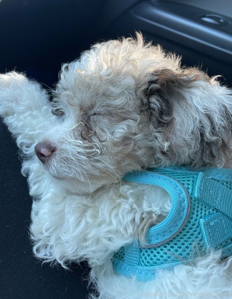 mamá sexy onlyfans sexy gratis galerías