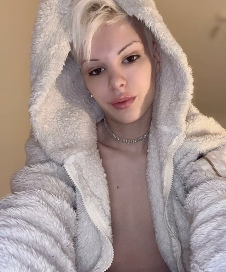 Blonditwink libre de estrellas fotos