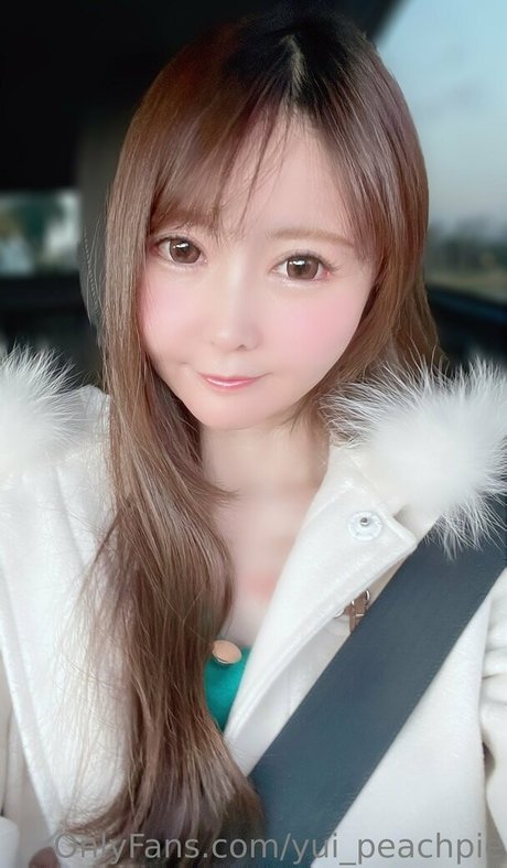 solo fanáticos del arbusto bastante adulta imagen