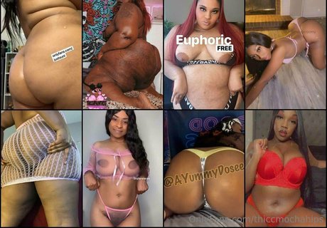 thiccmochahips modelo sexual archivo