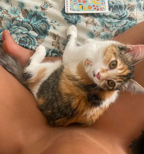 Carla Figueira estrella desnuda foto