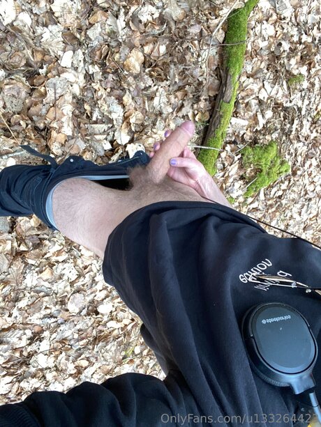 Esckaenor modelo superior archivo