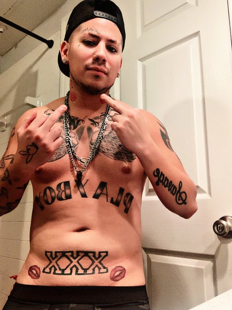 Zenil711 arte modelo galería