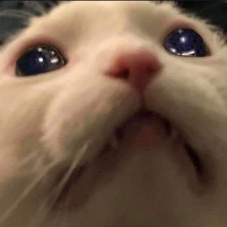 Sam Salemm actriz libre imágenes