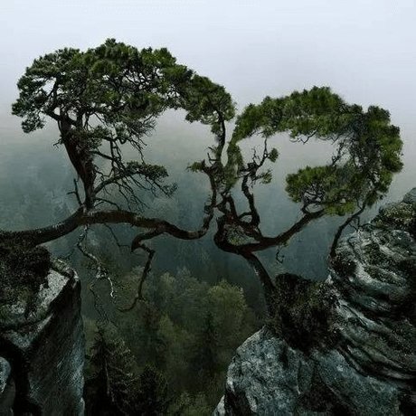 Ariah VPC desnudos de estrellas imagen