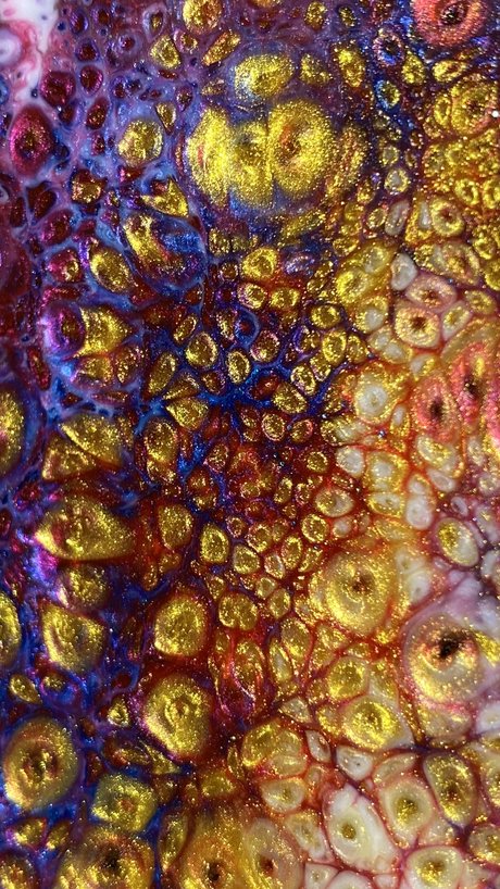 solo fans gruesos caliente gratis recopilación