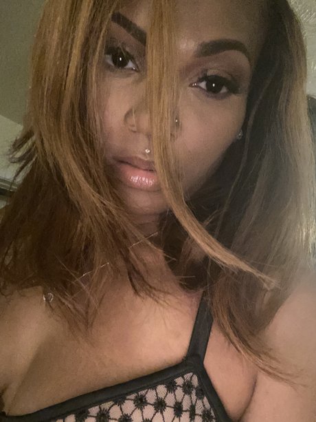 Xxquisitetaste hermosa estrella porno galería