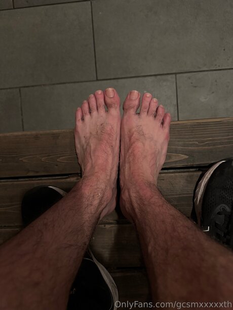 CASH estrella porno perfecta archivo