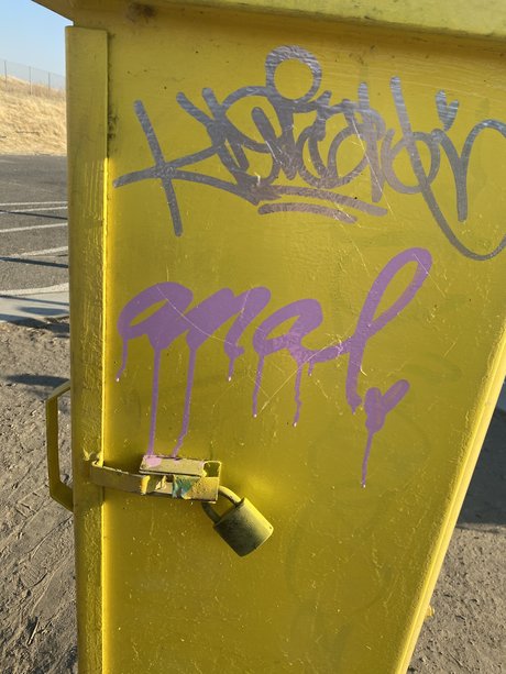 Bowie Sloan estrella exclusiva foto