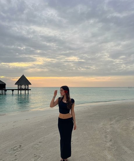 Siennarlv estrella exclusiva galería