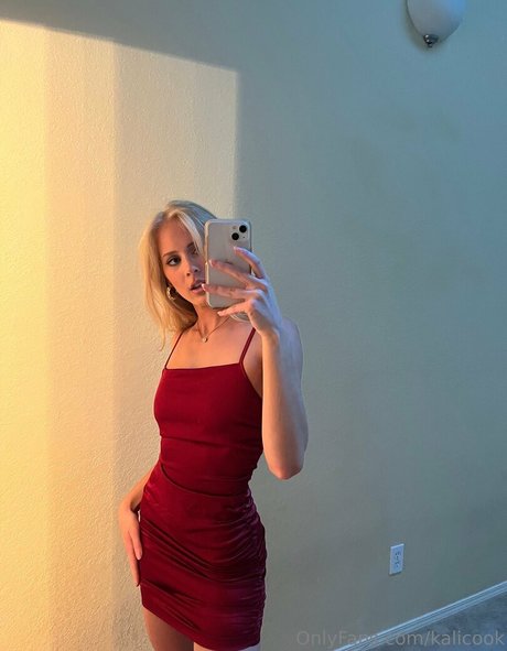 kalicook estrella perfecta archivo