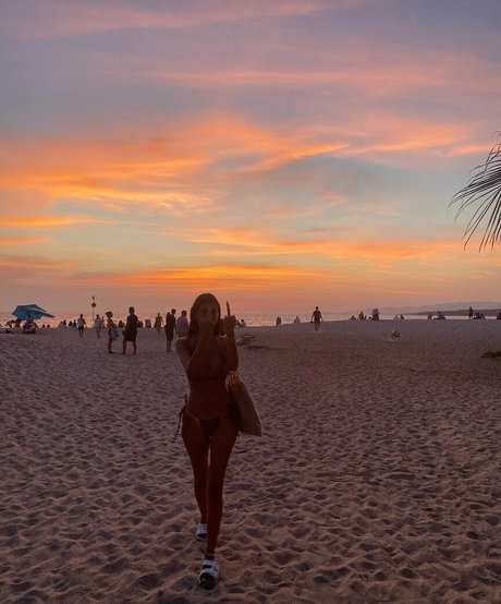 lotem passal estrella agradable imágenes