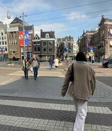 lotem passal estrella atractiva recopilación