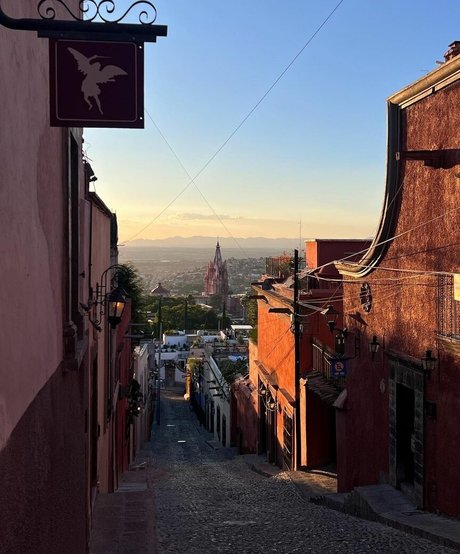 sophiahanvold estrella hermosa galería