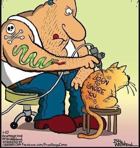 realbody001 estrella porno perfecta fotos