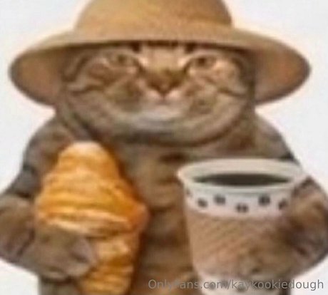 kaykookiedough sexo estrella porno imagen