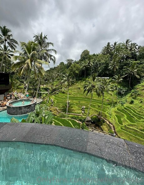 snowbunnymiaa estrella perfecta archivo