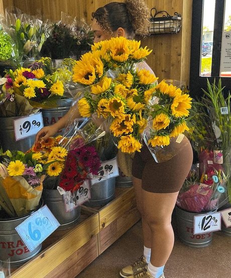 Tahani Anderson actriz de arte imágenes