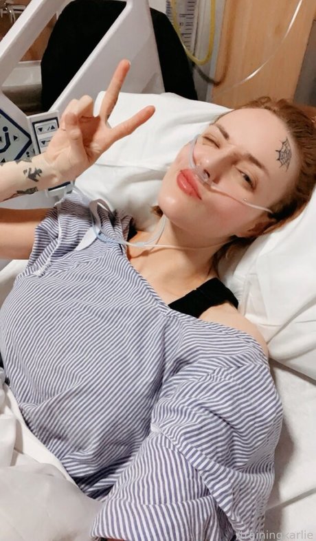 roziekatz Profilfoto