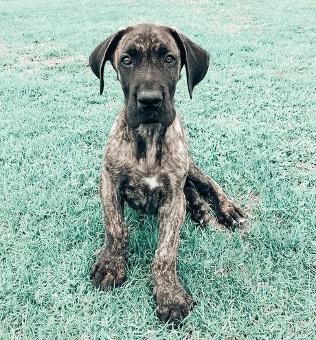 Cobyymj modelo hermosa foto