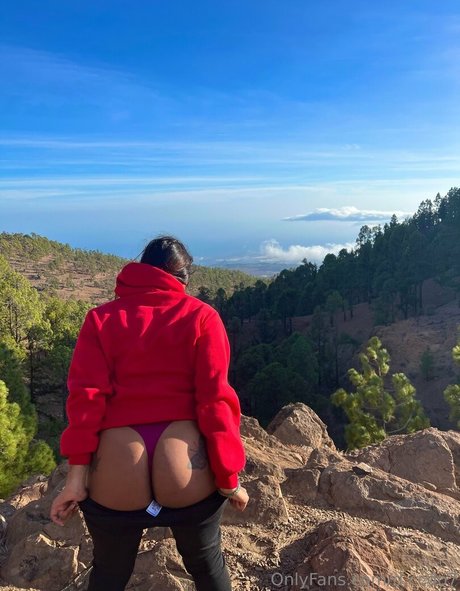 d ccdo7 modelo galerías